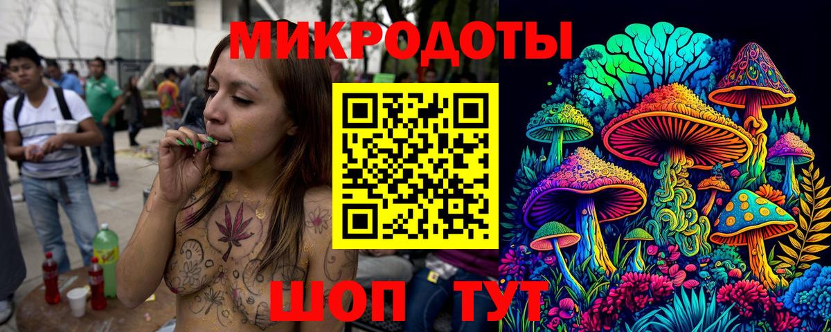 Балашов  Галлюциногенные грибы Psilocybe  Вход с VPN 